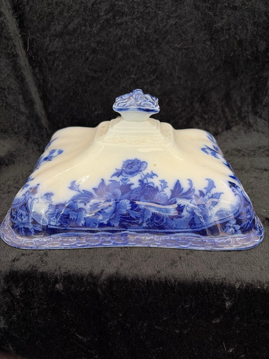 Wedgwood suppeterrin